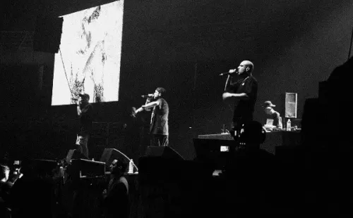 Menta Sabia- Foto por Valentina Alfaro.