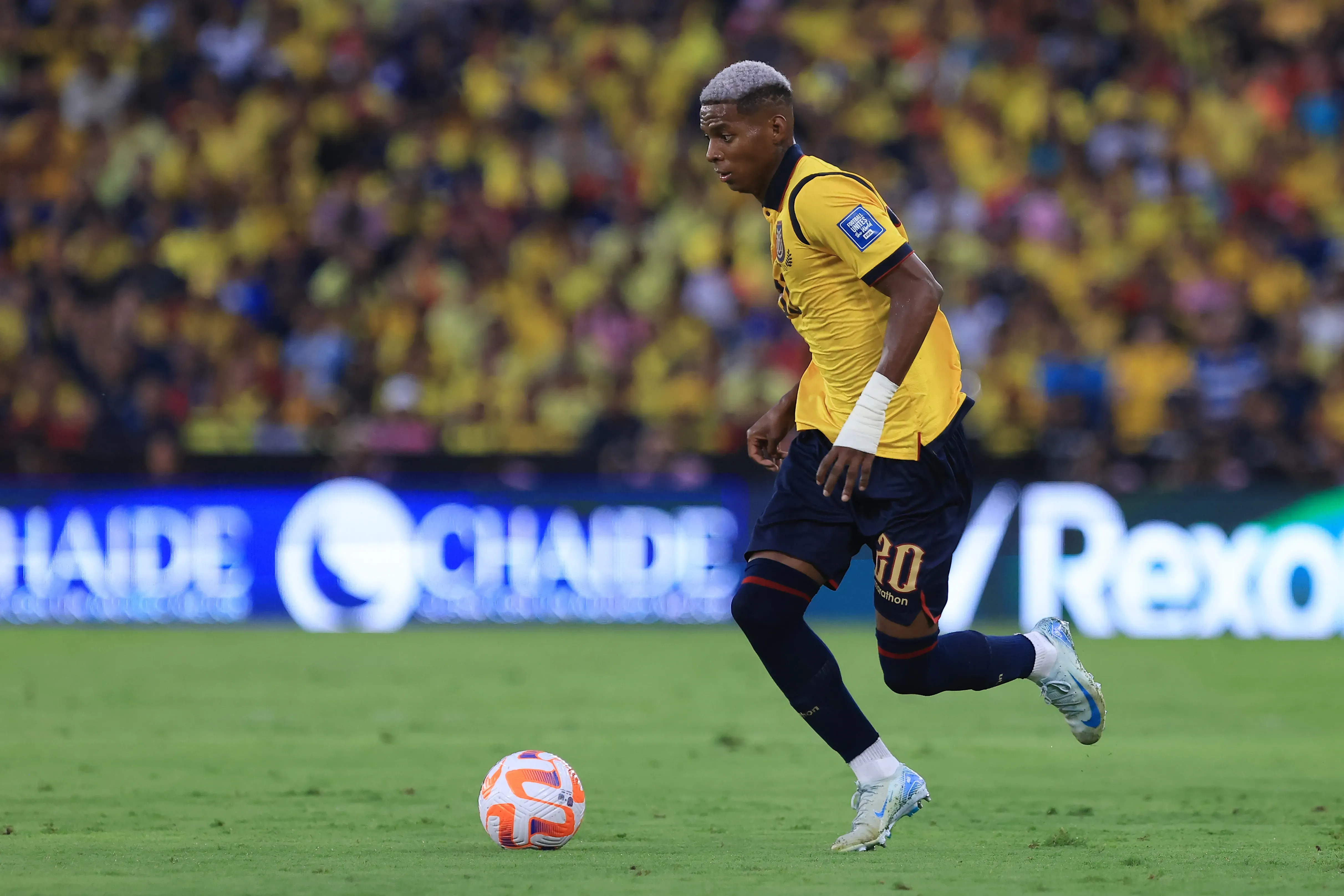 Nilson Angulo – Ecuador