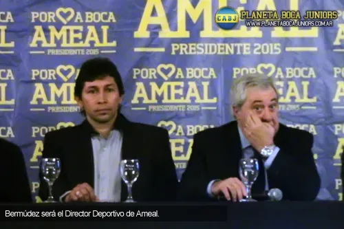 Ameal Bermudez