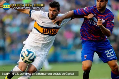 tigre