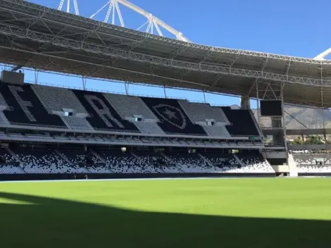 Botafogo projeta troca completa da grama do Nilton Santos