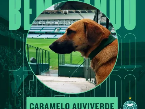 Coritiba ‘contrata’ cachorro caramelo e novo reforço ganha corações na web