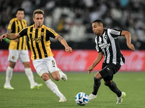 GUARANÍ-PAR x BOTAFOGO pela SUL-AMERICANA; Onde assistir, raio-x do duelo e mais