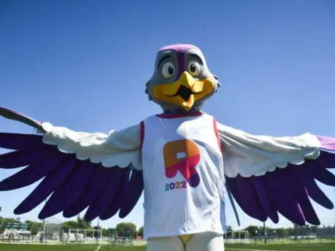 El tero Teté, la Mascota de los Juegos Suramericanos Rosario 2022