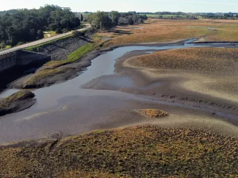 ¿Por qué no hay agua en Uruguay y qué pasó con las reservas en Montevideo?