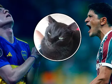 ¿Boca o Fluminense? Milu, el gato vidente de TikTok, predijo quién ganará la Libertadores