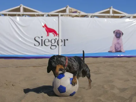 El parador para perros sigue a full en Pinamar