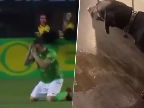 Los mejores memes de la derrota de Boca ante Bayern Múnich por el Mundial de Clubes