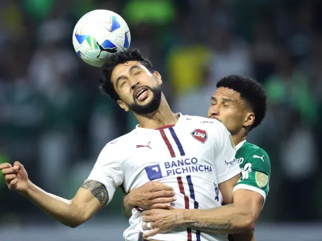 Palmeiras completó la remontada y jugará la final de la Copa Libertadores