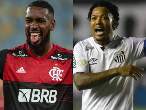 Flamengo x Santos: Como, quando e onde assistir o jogão desta tarde