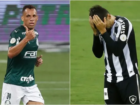 Palmeiras x Botafogo: Saiba onde assistir AO VIVO