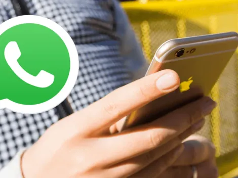 WhatsApp traz atualização que permite uso em até 4 dispositivos ao mesmo tempo