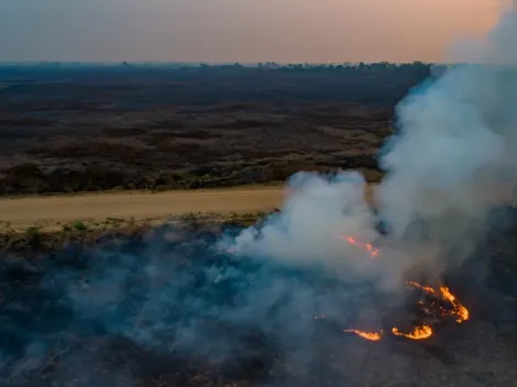 Incêndios: Prefeitura de Corumbá pede ajuda para combater chamas no Pantanal