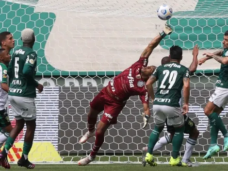Campeonato Brasileiro: América-MG x Palmeiras; prognósticos do jogo que os paulistas buscam recuperação