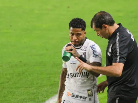 Carille indica e Edu Dracena negocia com três reforços para o Santos; Marinho pode sair do time