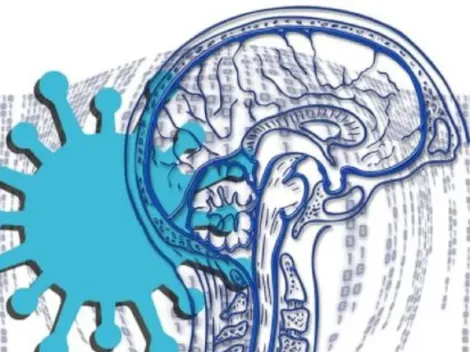 Não é só a covid-19! Infecções virais têm relação direta com graves doenças cerebrais