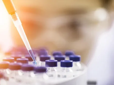 Molécula que pode contribuir no combate ao câncer é descoberta por pesquisadores da Universidade Federal de Uberlândia (UFU); o estudo caminha para a segunda fase