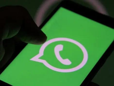 WhatsApp estuda nova atualização; aplicativo analisa a transferência de conversas do Android para o iOS