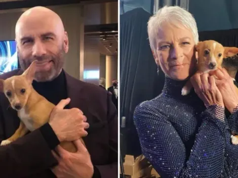 John Travolta adota cadela que apareceu no palco do Oscar acompanhada de Jamie Lee Curtis