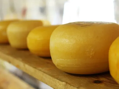 Fábrica de queijos é multada por exalar cheiro de “leite azedo” e incomodar moradores da região