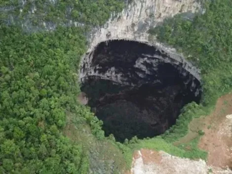 Floresta é encontrada em caverna a 192 metros de profundidade