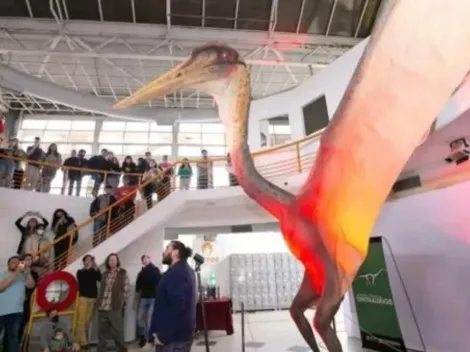Nova espécie de Pterossauro, o 'Dragão da Morte', é encontrada na Argentina
