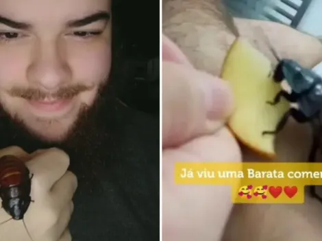Homem viraliza no TikTok ao compartilhar rotina com cinco baratas de estimação