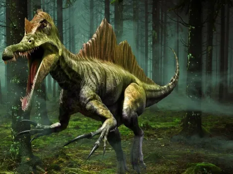 Cientistas descobrem fóssil de dinossauro na Inglaterra que pode ter sido o maior predador da Europa