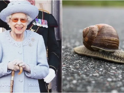 Cozinheiro expõe reação inusitada de Rainha Elizabeth ao encontrar lesma em seu prato