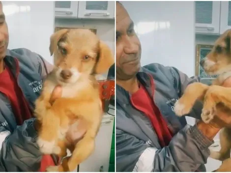 "Olha aí o 'pão' que ele traz": Menina filma pai voltando da padaria com cachorrinha adotada no colo e viraliza na web