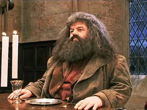 Roupa de Hagrid, de Harry Potter, pesava mais de 30 kg e era muito quente