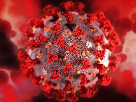 Covid-19: Brasil registra 84 óbitos e mais de 6 mil casos nas últimas 24 horas