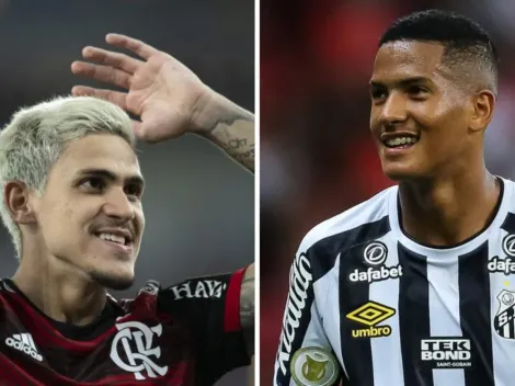 Flamengo e Santos: Cariocas pensam na Libertadores e paulistas querem melhorar posição