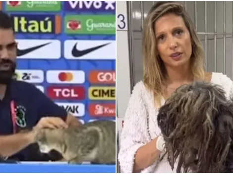 Luisa Mell critica atitude de auxiliar que tirou gato de coletiva da Seleção Brasileira