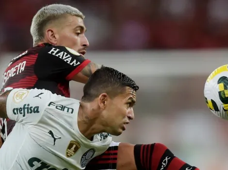 "75%"; Palmeiras e Flamengo dominam títulos recentes no Brasil: Relembre os campeões