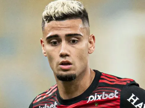 Flamengo cai e Andreas ‘perde o posto’ em avalanche de memes no Palmeiras