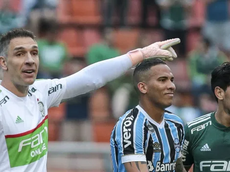Ídolo do Palmeiras entra em cena antes do Grêmio enfrentar o Flamengo e exalta Renato Portaluppi