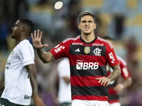Benfica procura Flamengo por Pedro, valores são estabelecidos e futuro é definido