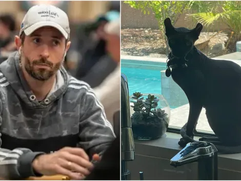 Imortal do poker viaja para o Brasil, mas passa perrengue para embarcar com o bichinho de estimação