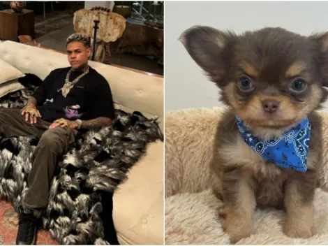 MC Cabelinho apresenta novo cachorro e detalhe gera alvoroço de fãs na web