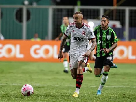 América-MG x Flamengo: AO VIVO – Campeonato Brasileiro Série A – Onde assistir, horário e escalações