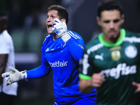 Gatinho vidente aponta o resultado entre Cruzeiro e Palmeiras na última rodada do Brasileirão