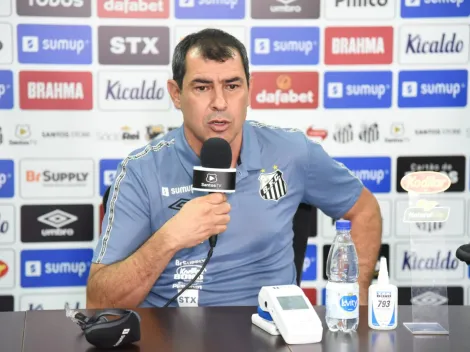 Carille afirma ser ‘estranho’ trabalho do VAR em pênalti para o Palmeiras