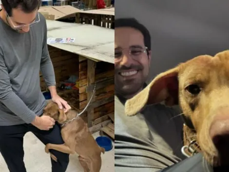 Repórter do SBT adota cachorro que abraçou sua perna no RS