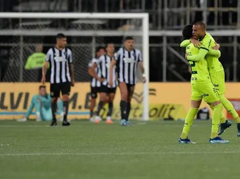 Palmeiras já eliminou o Botafogo por 4 vezes e venceu 3 títulos contra os cariocas