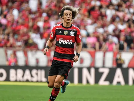 Em fim de contrato, David Luiz valoriza Flamengo em entrevista