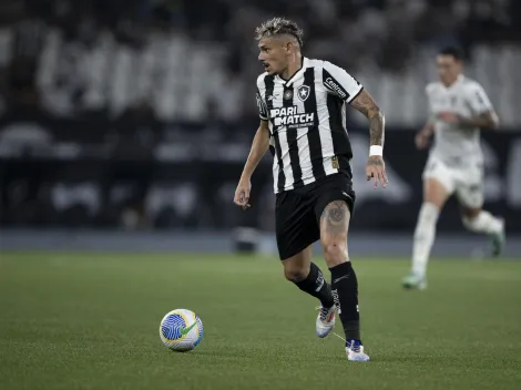 Botafogo x Palmeiras: qual time vai vencer o confronto que vale a liderança, segundo odds