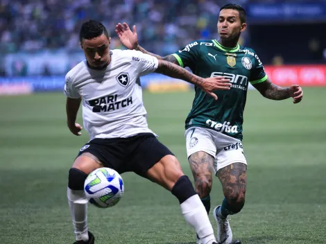 Saiba onde assistir o jogo entre Botafogo x Palmeiras