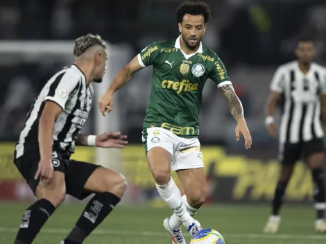 Botafogo vence o Palmeiras por 1 a 0 no Campeonato Brasileiro