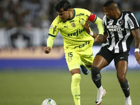 Botafogo x Palmeiras AO VIVO – Onde assistir ao jogo pelo Brasileiro em tempo real